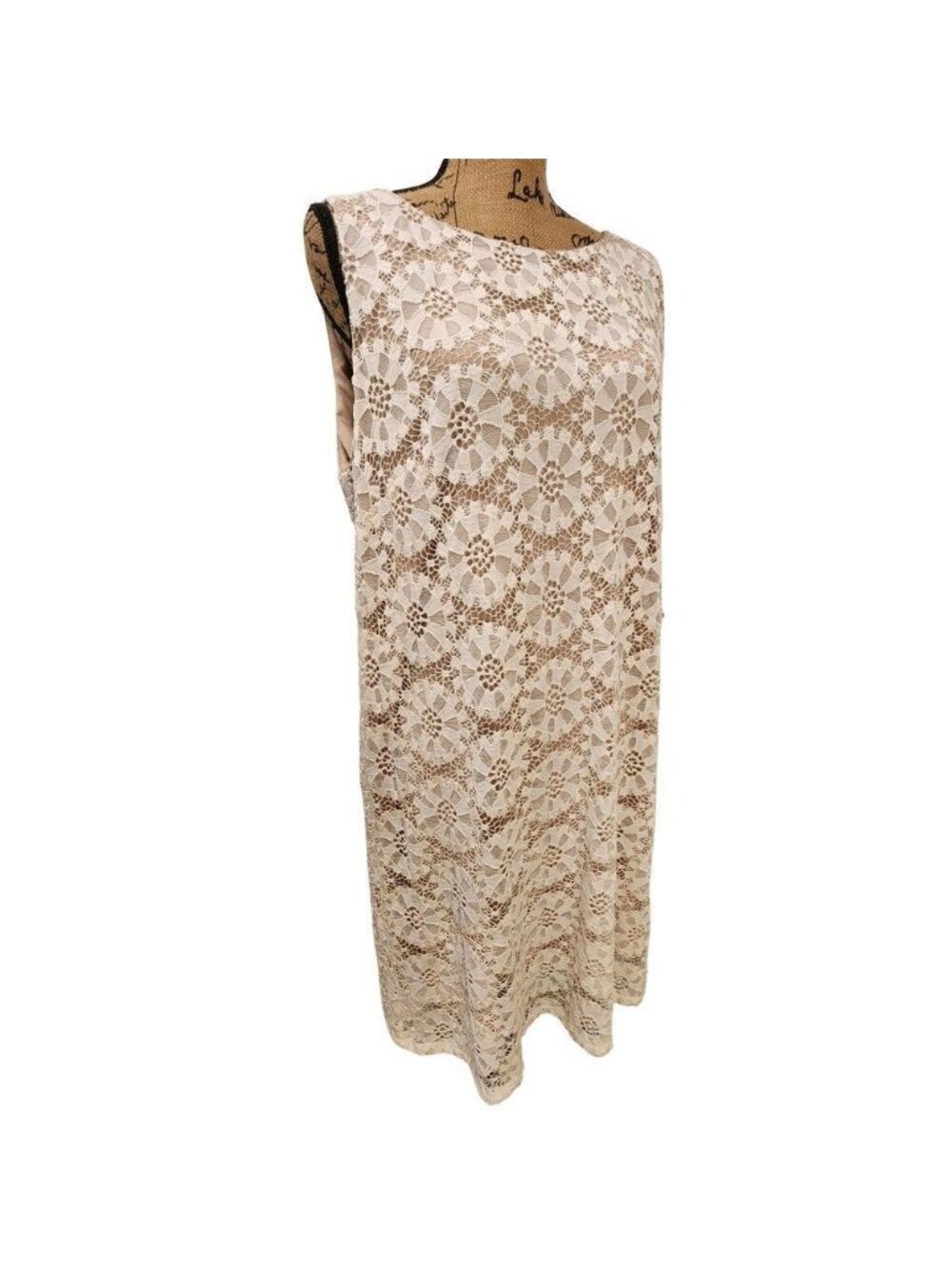 RN Studio Sleeveless Lace Shift Dress Cream Size 18 NEW